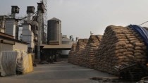 Rice mills ethanol